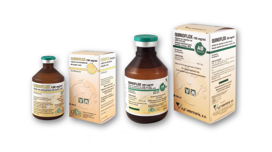 QUINOFLOX 100 mg/ml Solution for injection for cattle and pigs